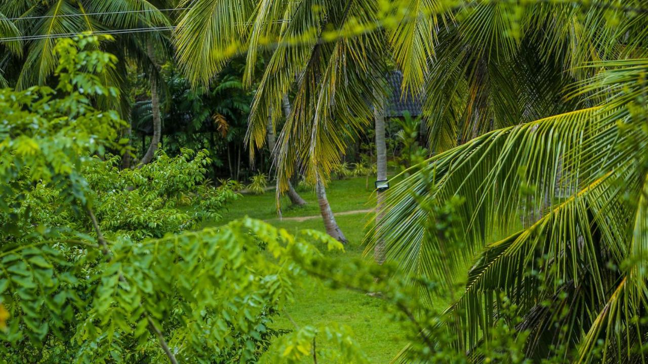 Silver Crown Nature Resort Kombichankulama Extérieur photo