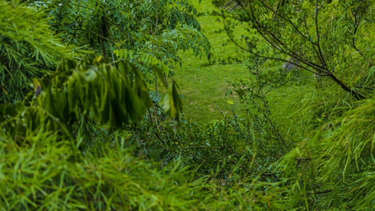 Silver Crown Nature Resort Kombichankulama Extérieur photo